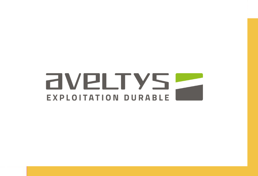 Découvrez le logo d'AVELTYS Exploitation Durable, caractérisé par une typographie moderne et des éléments graphiques en gris et vert. Ce logo représente l'engagement de l'entreprise envers des pratiques d'exploitation durable, visant à améliorer l'efficacité énergétique et la durabilité des bâtiments et des infrastructures pour un avenir plus vert.